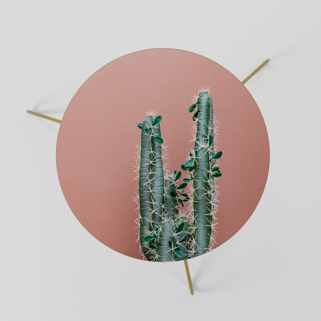 LORD CACTUS Mesa de Centro 60