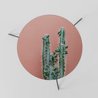 LORD CACTUS Mesa de Centro 60