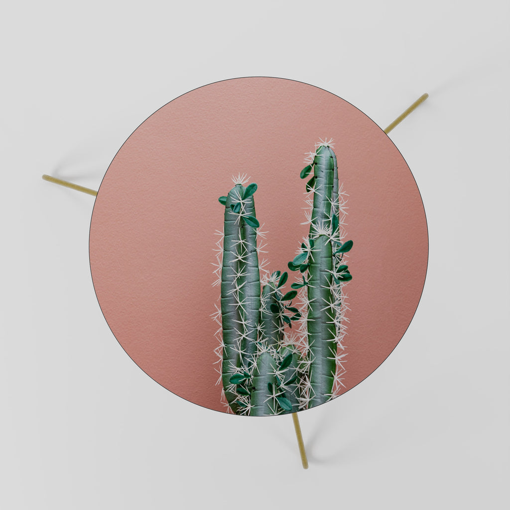 LORD CACTUS Mesa de Centro 60