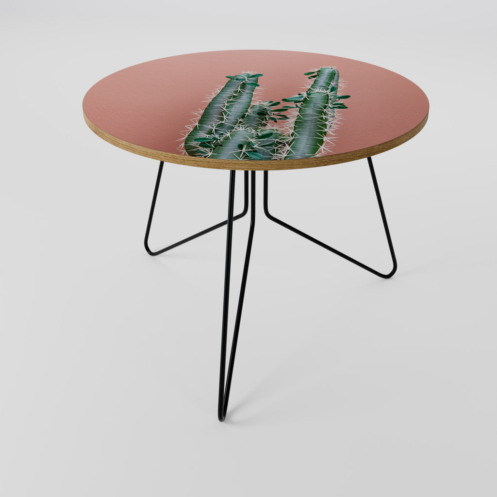 LORD CACTUS Coffee Table 69