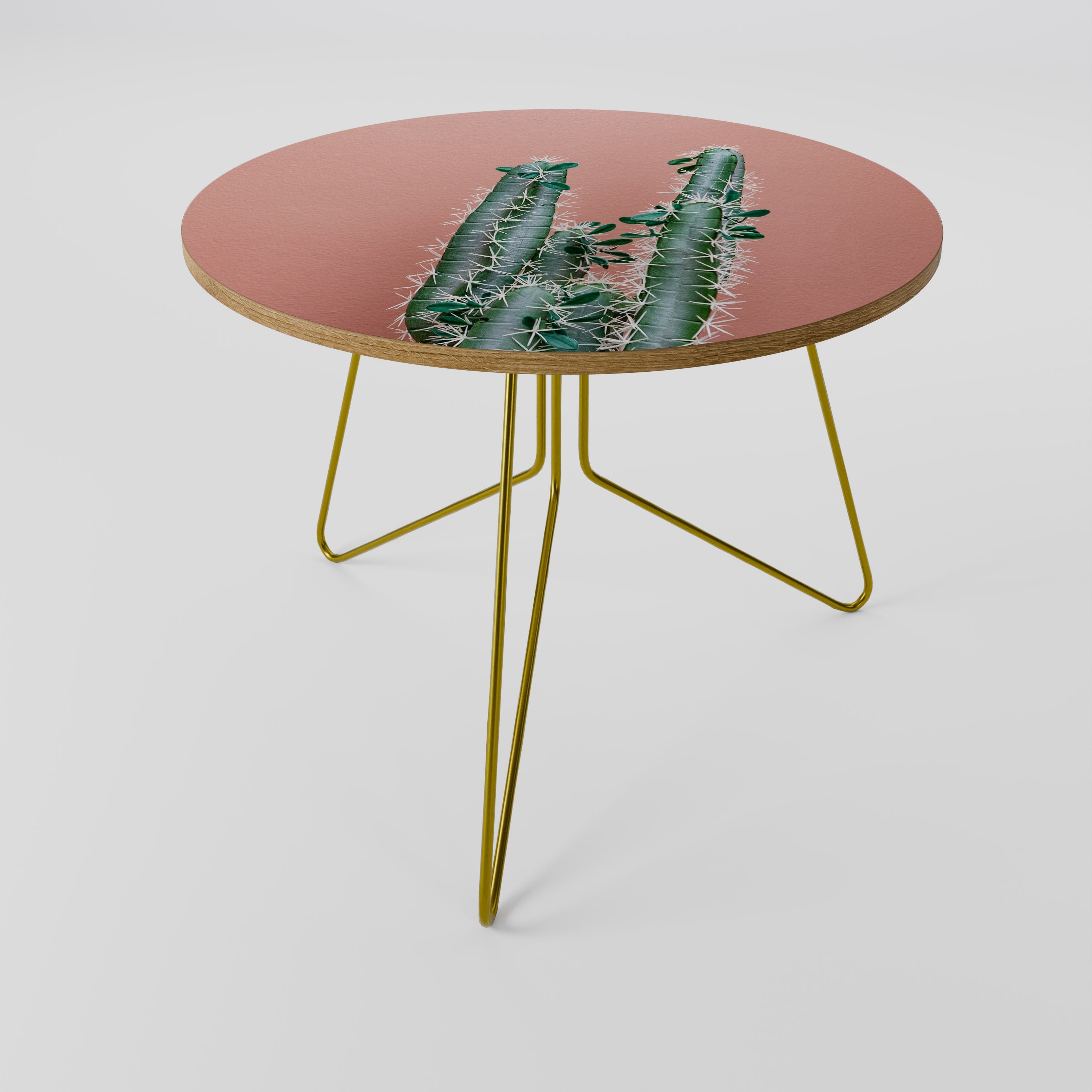 LORD CACTUS Coffee Table 69