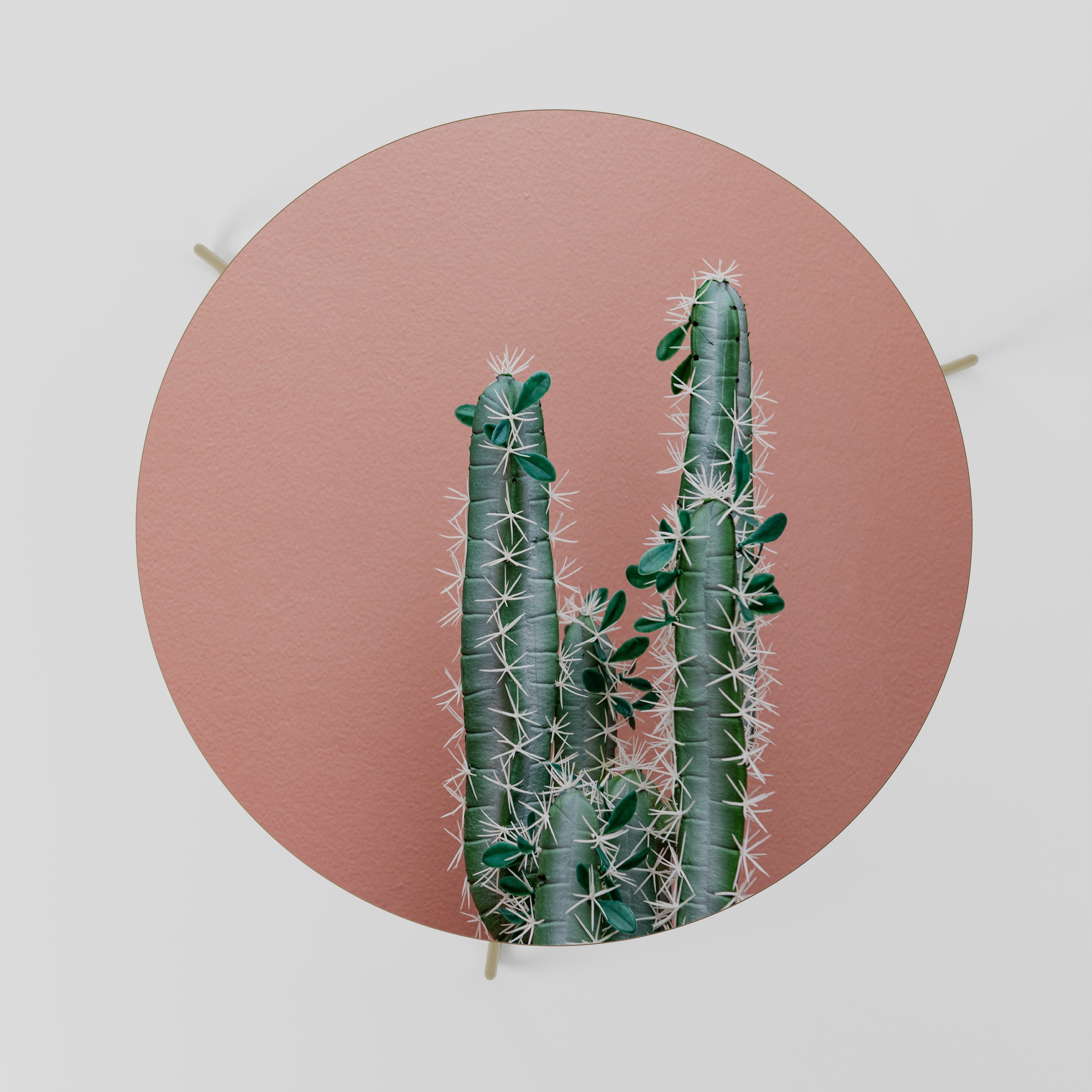 LORD CACTUS Coffee Table 69