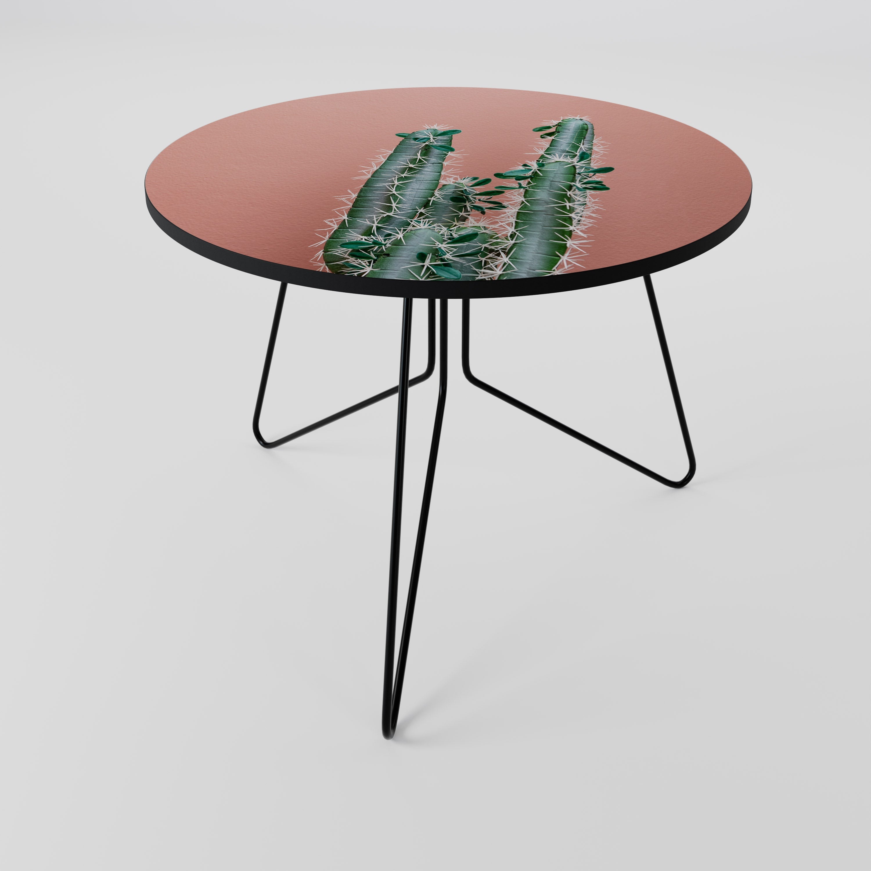 LORD CACTUS Coffee Table 69