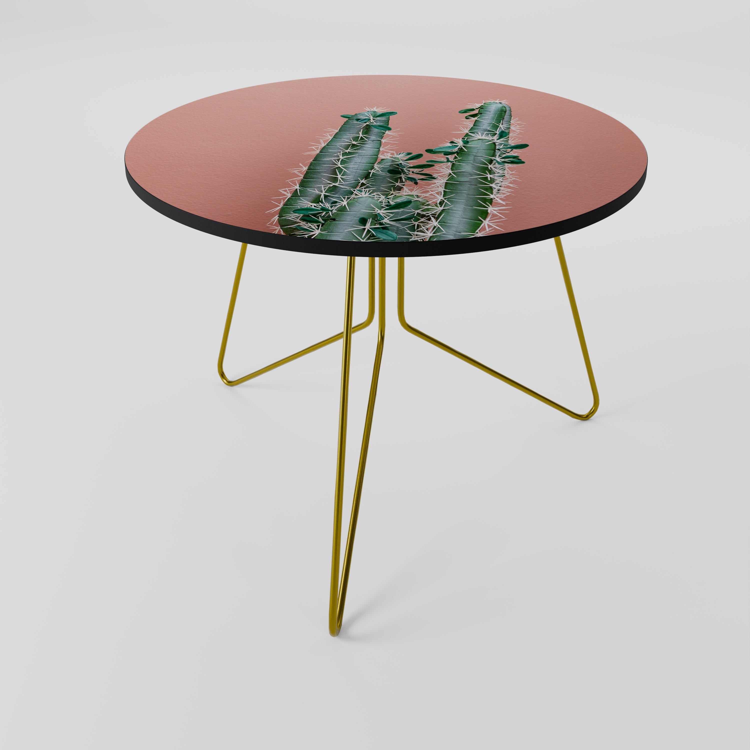 LORD CACTUS Coffee Table 69