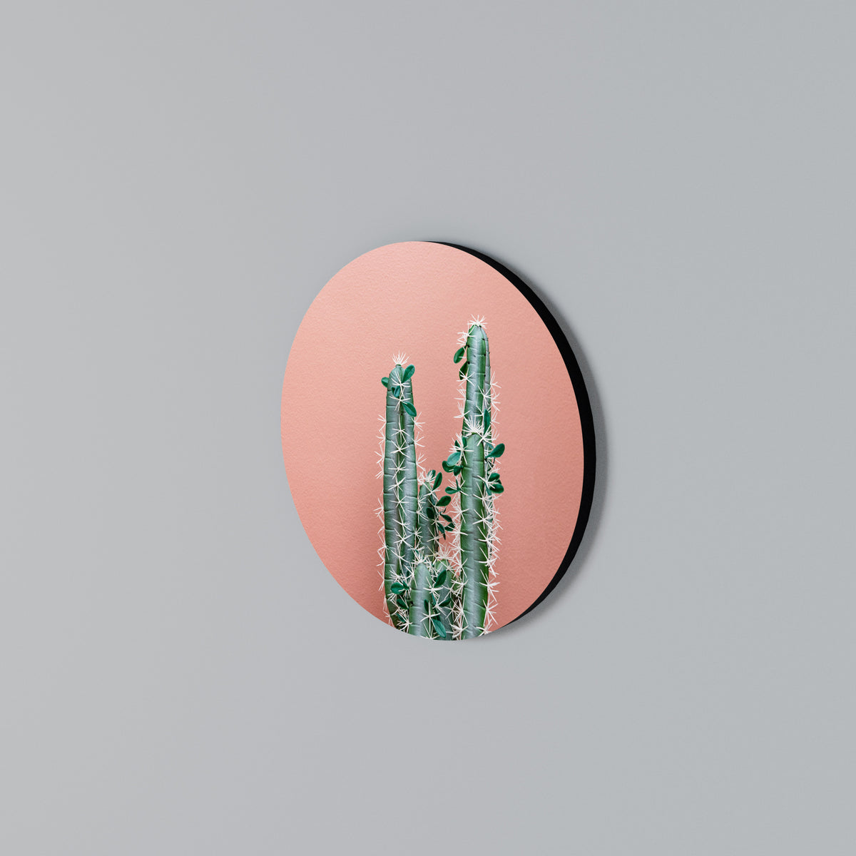 LORD CACTUS Arte de Parede Redonda