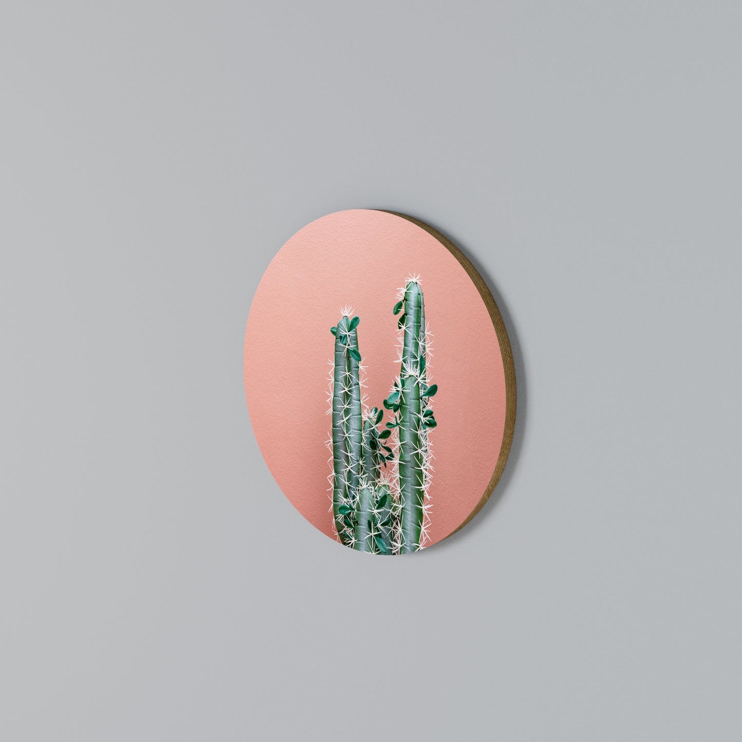 LORD CACTUS Arte de Parede Redonda