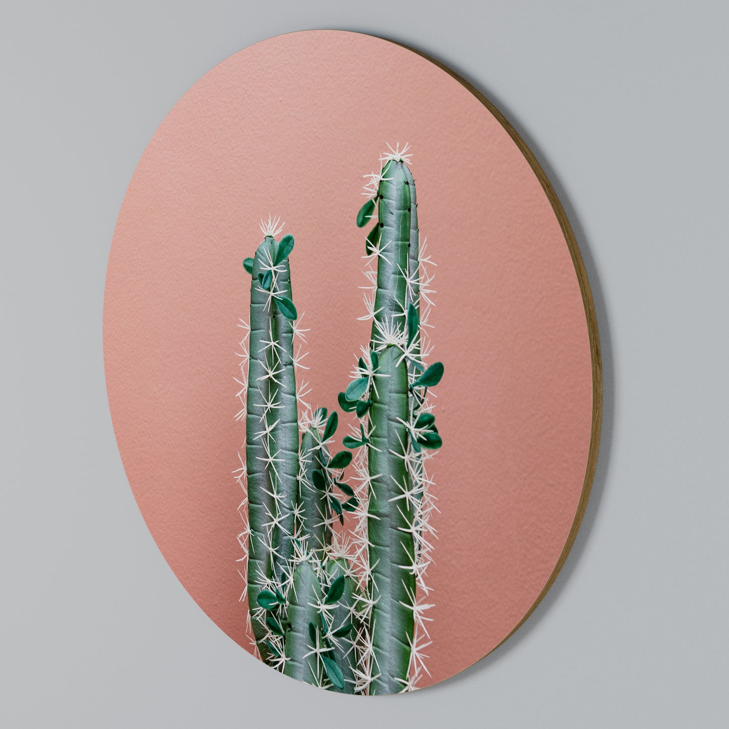 LORD CACTUS Arte de Parede Redonda