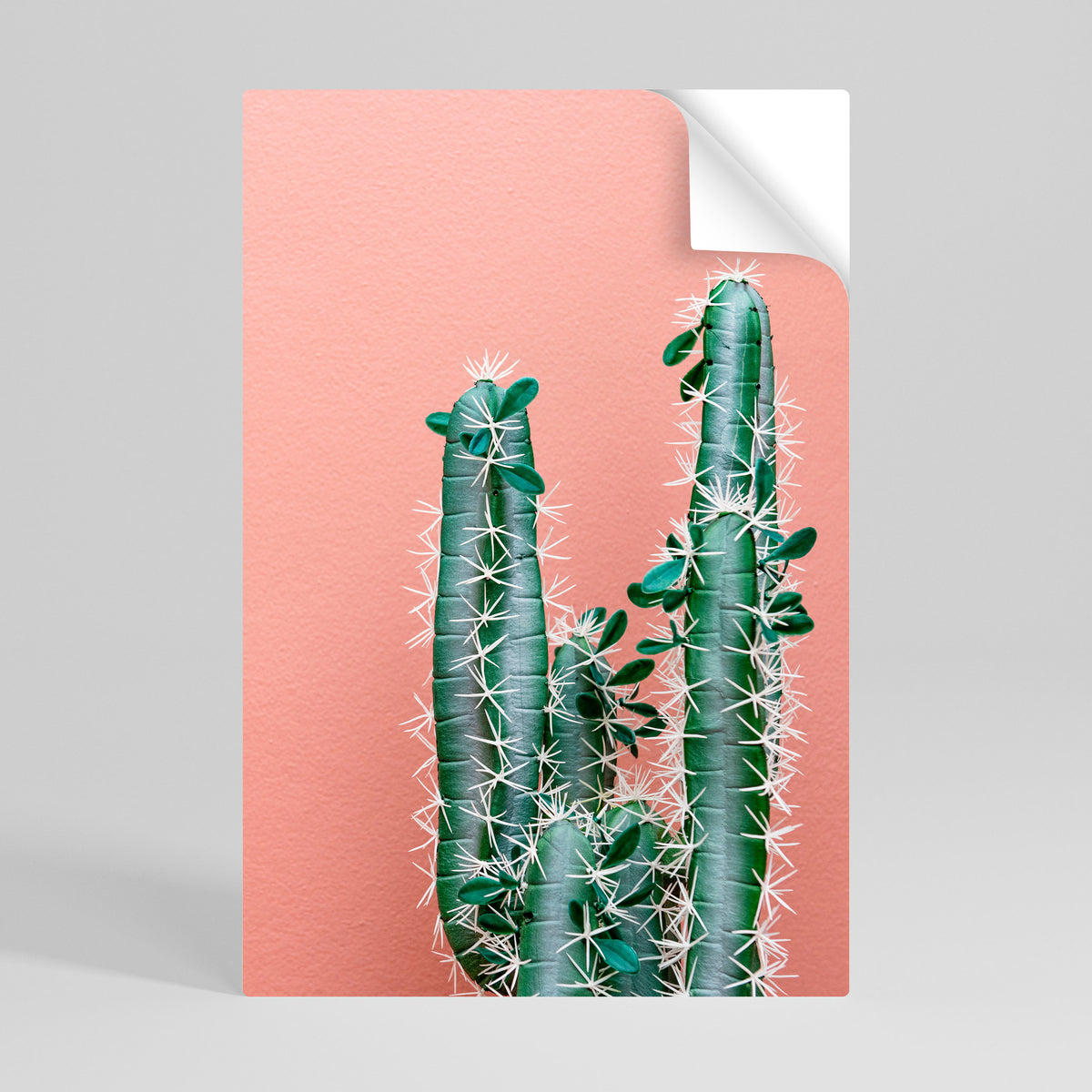 LORD CACTUS Póster Autocolante Vertical
