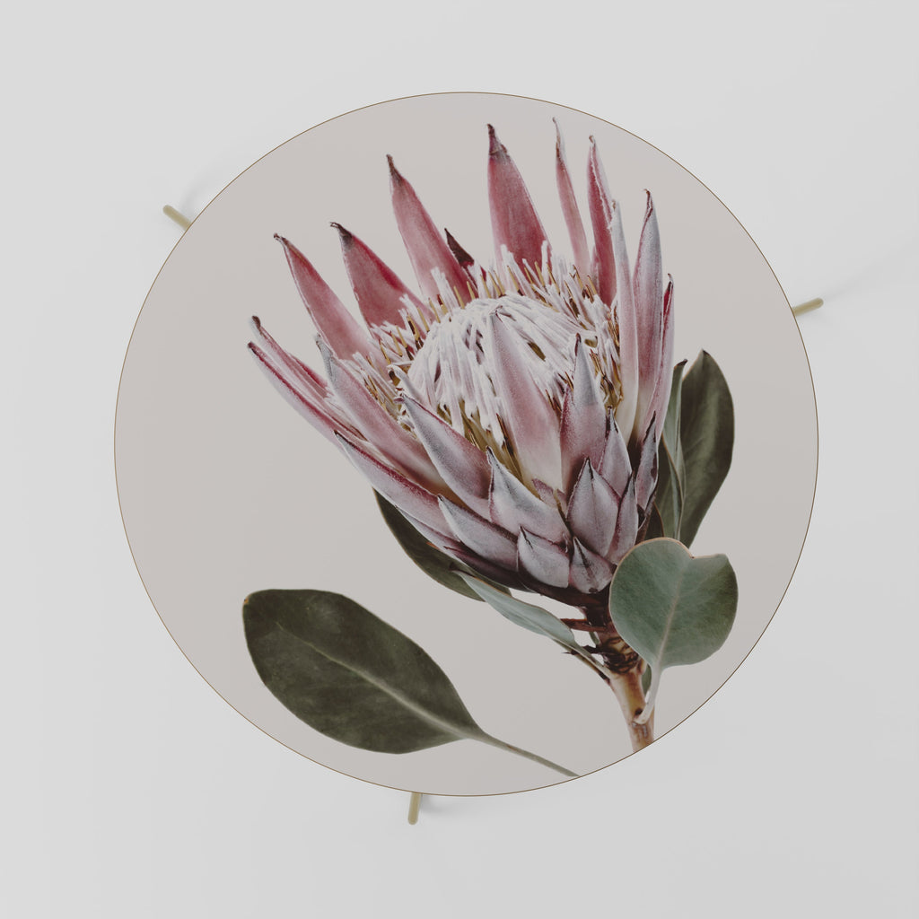 PROTEA FLOWER Coffee Table 69