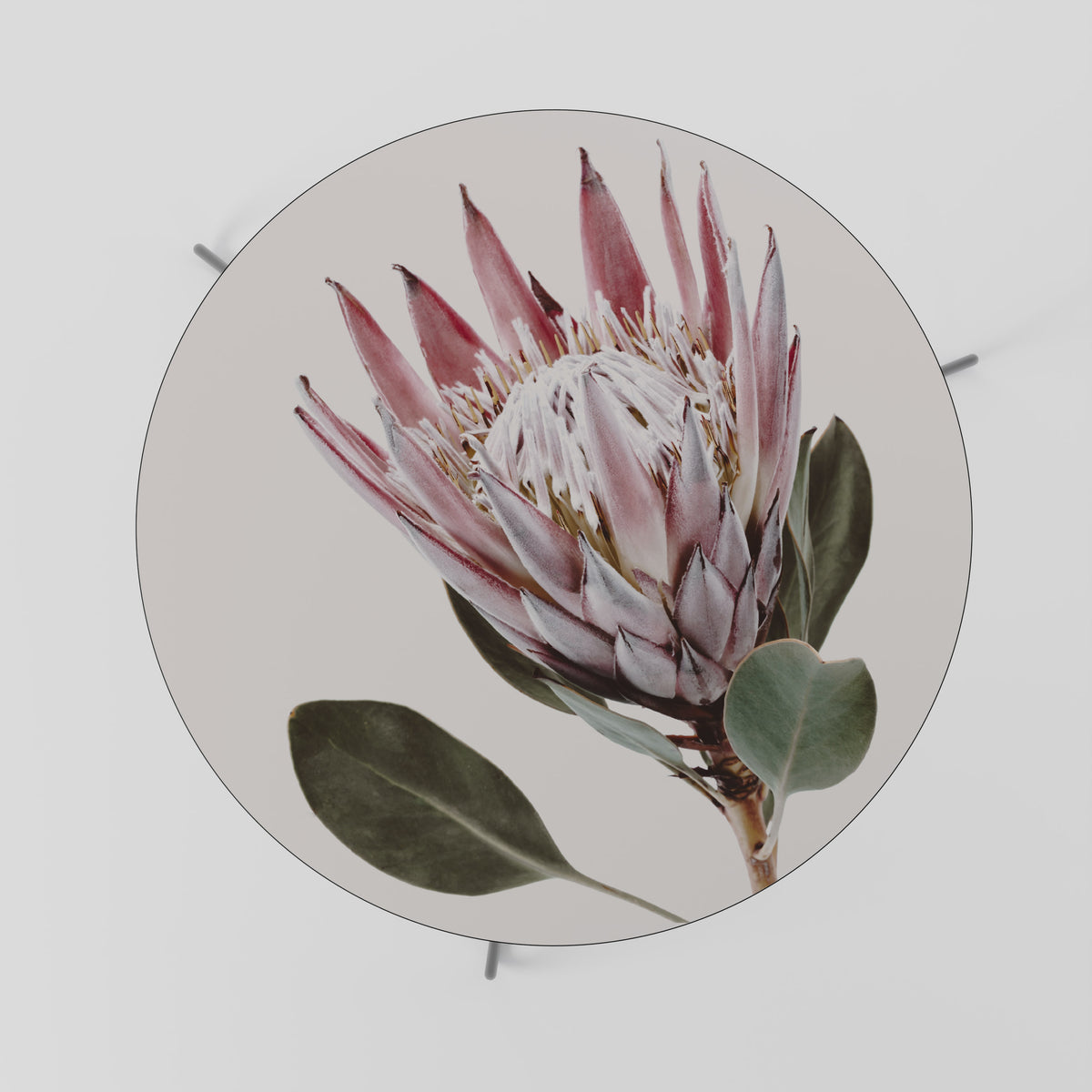 PROTEA FLOWER Mesa de Centro