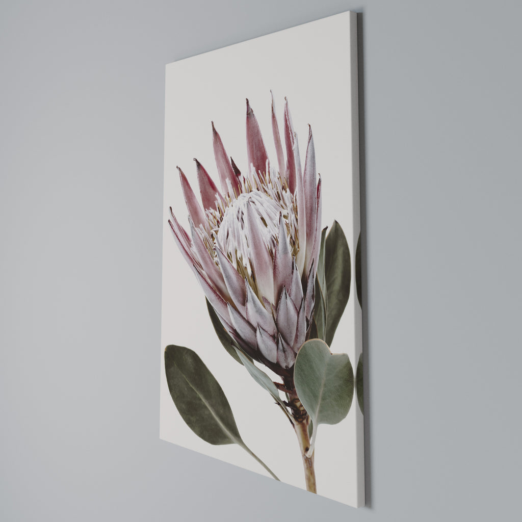 PROTEA FLOWER Quadro em tela vertical
