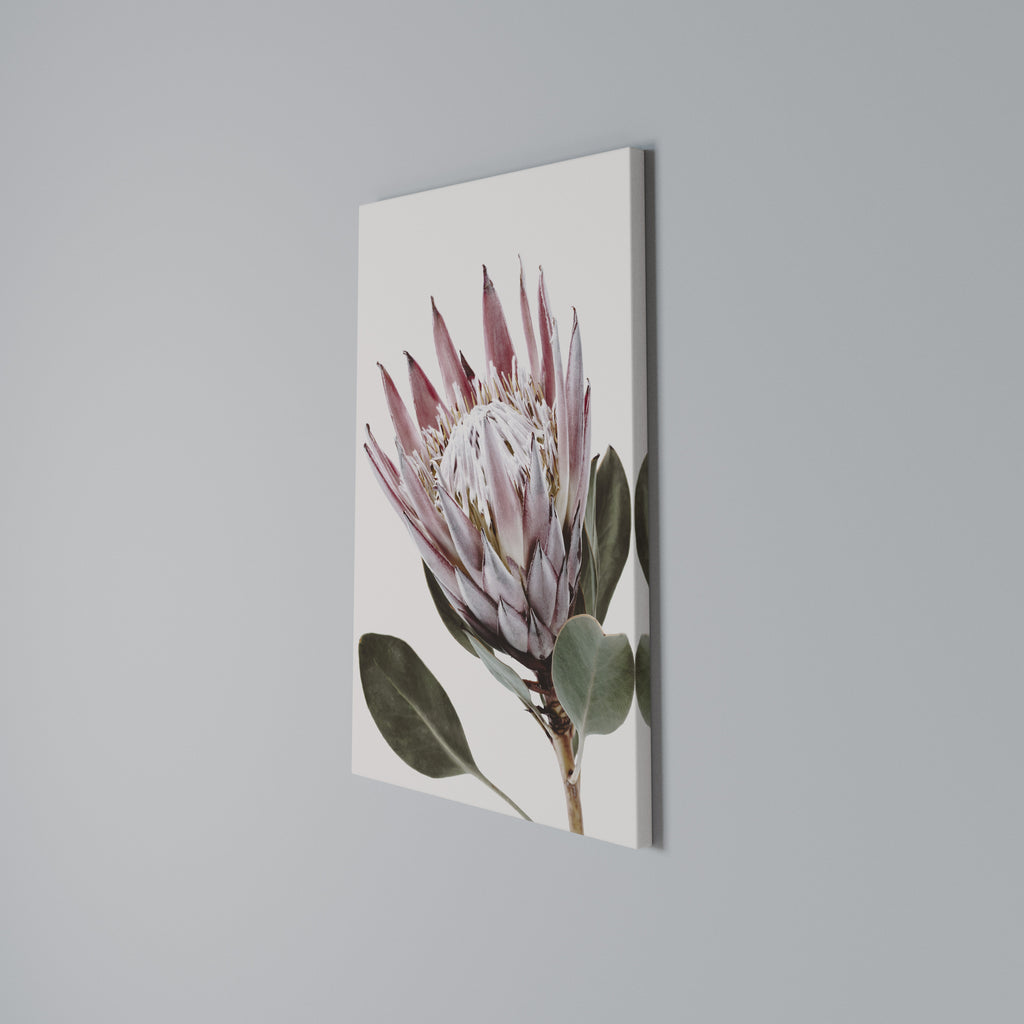 PROTEA FLOWER Quadro em tela vertical