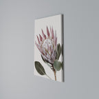 PROTEA FLOWER Quadro em tela vertical