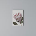 PROTEA FLOWER Quadro em tela vertical