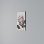 PROTEA FLOWER Quadro em tela vertical