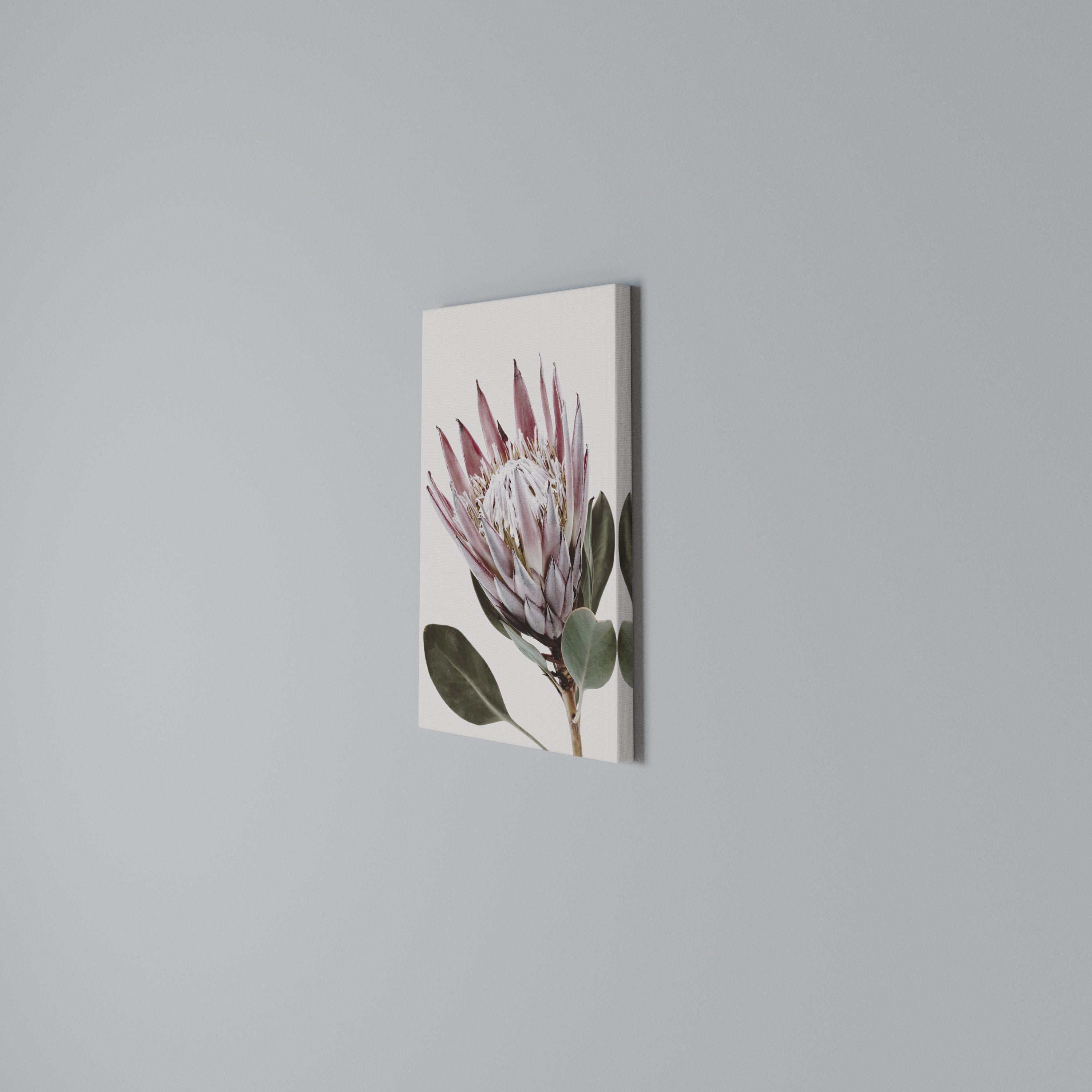 PROTEA FLOWER Quadro em tela vertical
