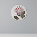 PROTEA FLOWER Quadro Redondo Decorativo