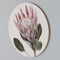 PROTEA FLOWER Arte de Parede Redonda
