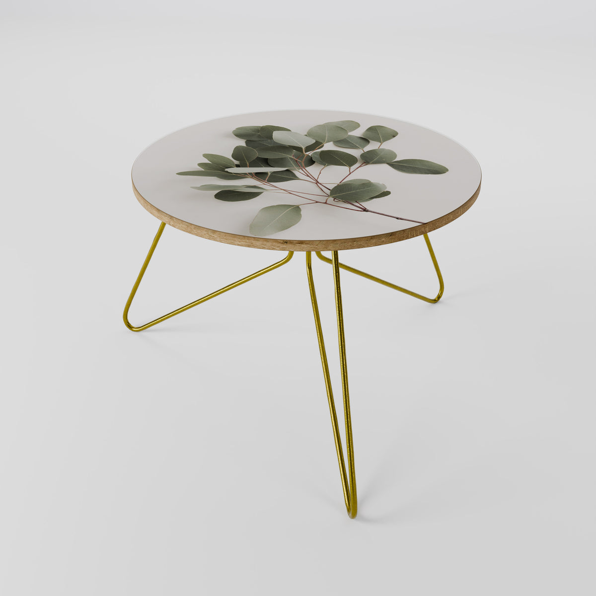 EUCALYPTUS BRANCH Coffee Table