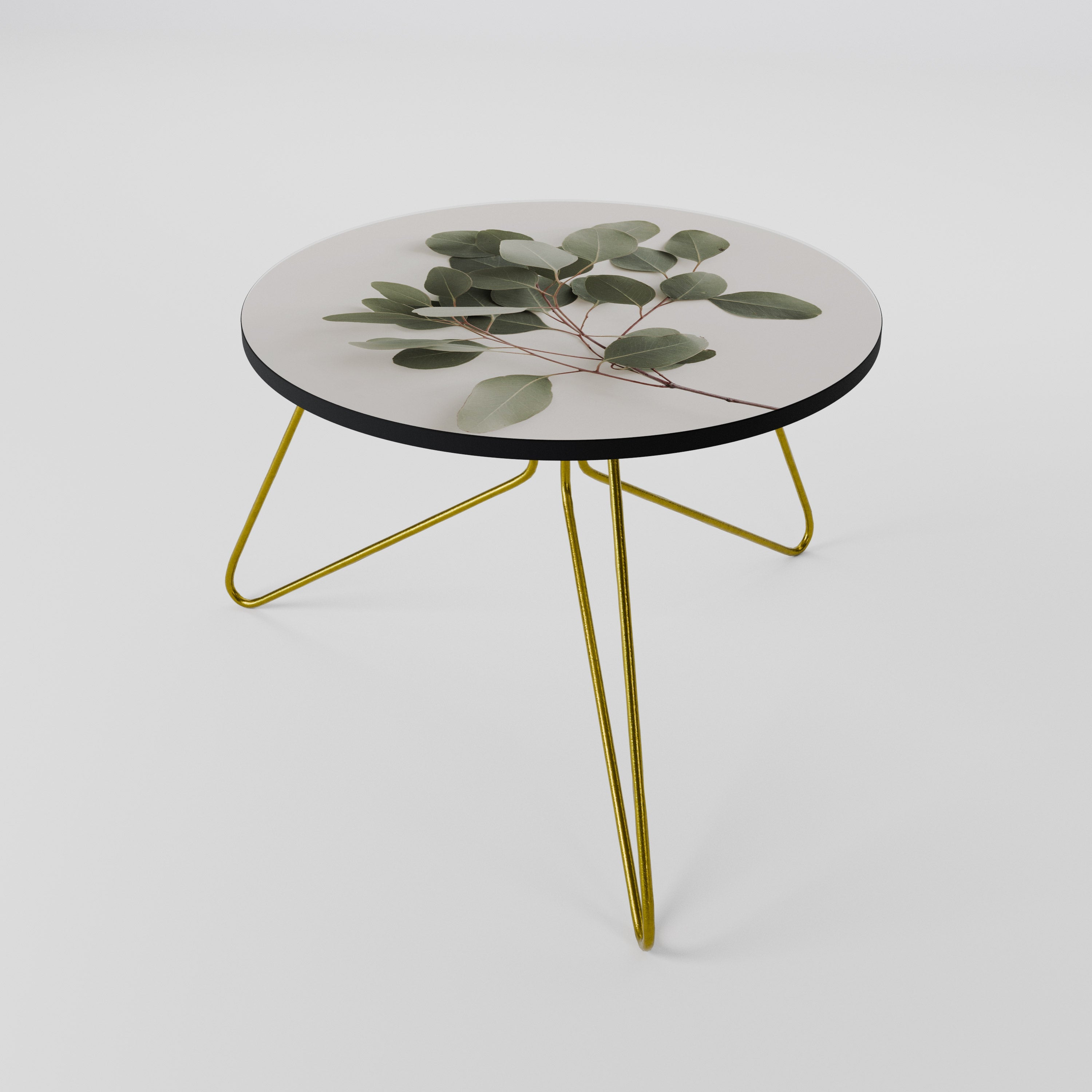 EUCALYPTUS BRANCH Mesa de Centro 60