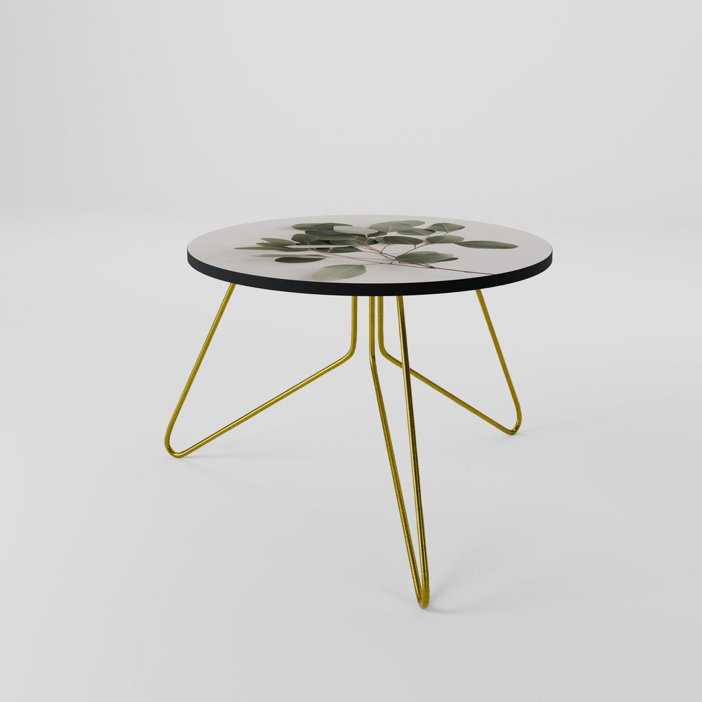 EUCALYPTUS BRANCH Mesa de Centro 60