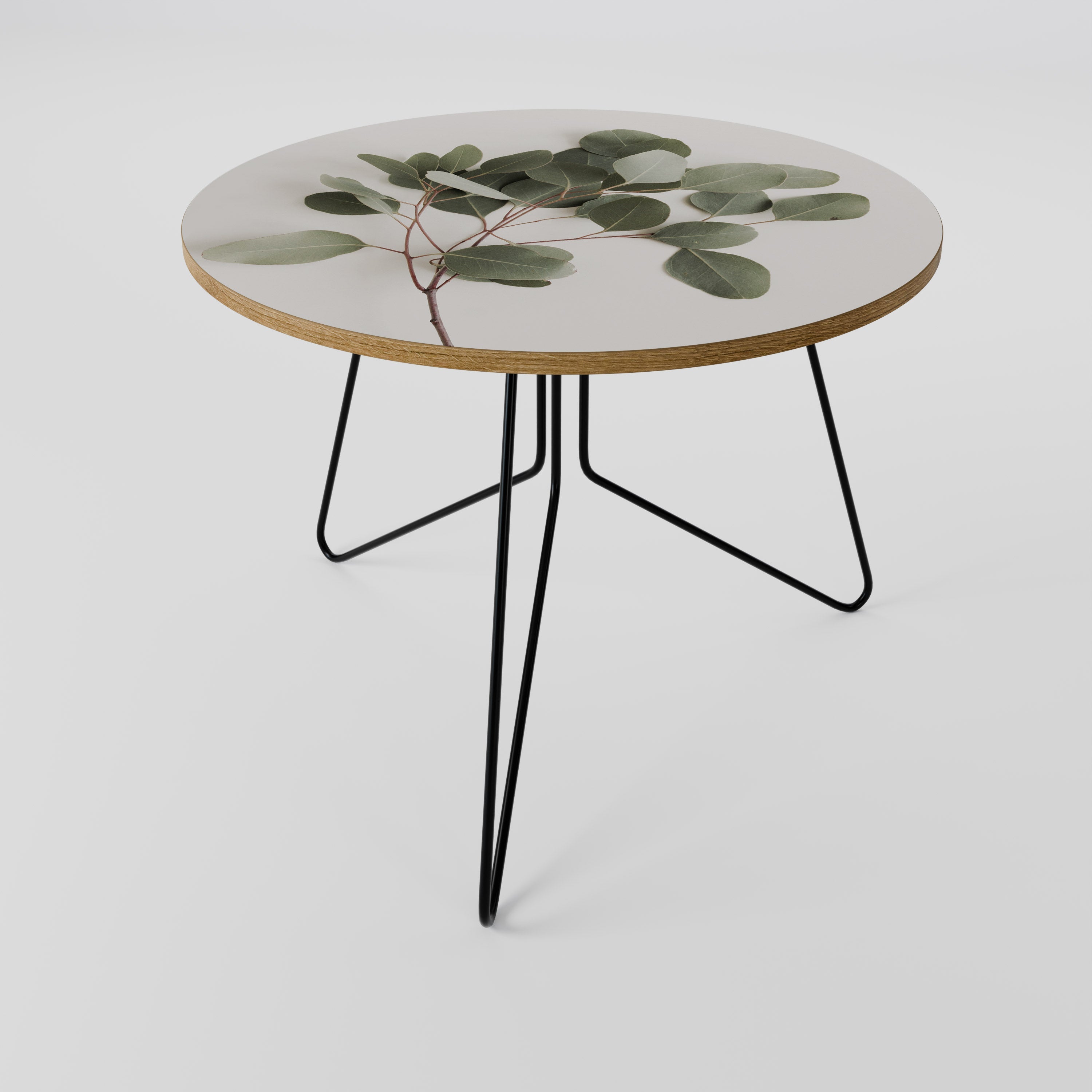 EUCALYPTUS BRANCH Coffee Table 69