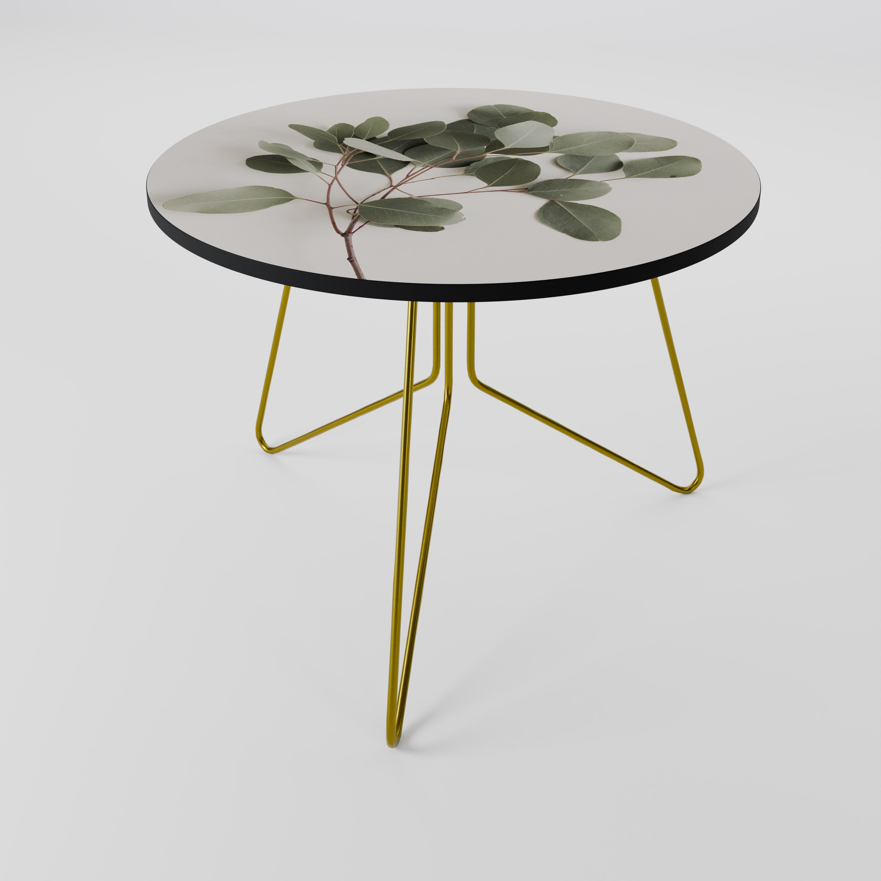 EUCALYPTUS BRANCH Coffee Table 69