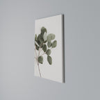EUCALYPTUS BRANCH Quadro em tela vertical