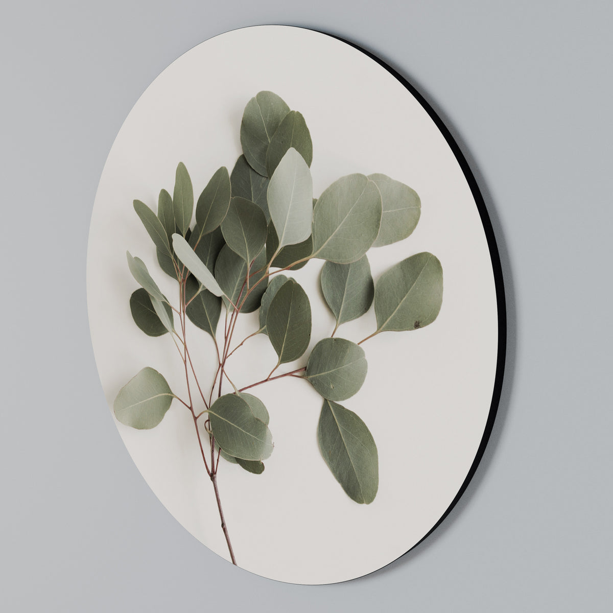 EUCALYPTUS BRANCH Arte de Parede Redonda