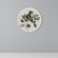 EUCALYPTUS BRANCH Quadro Redondo Decorativo