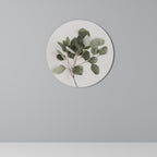 EUCALYPTUS BRANCH Quadro Redondo Decorativo
