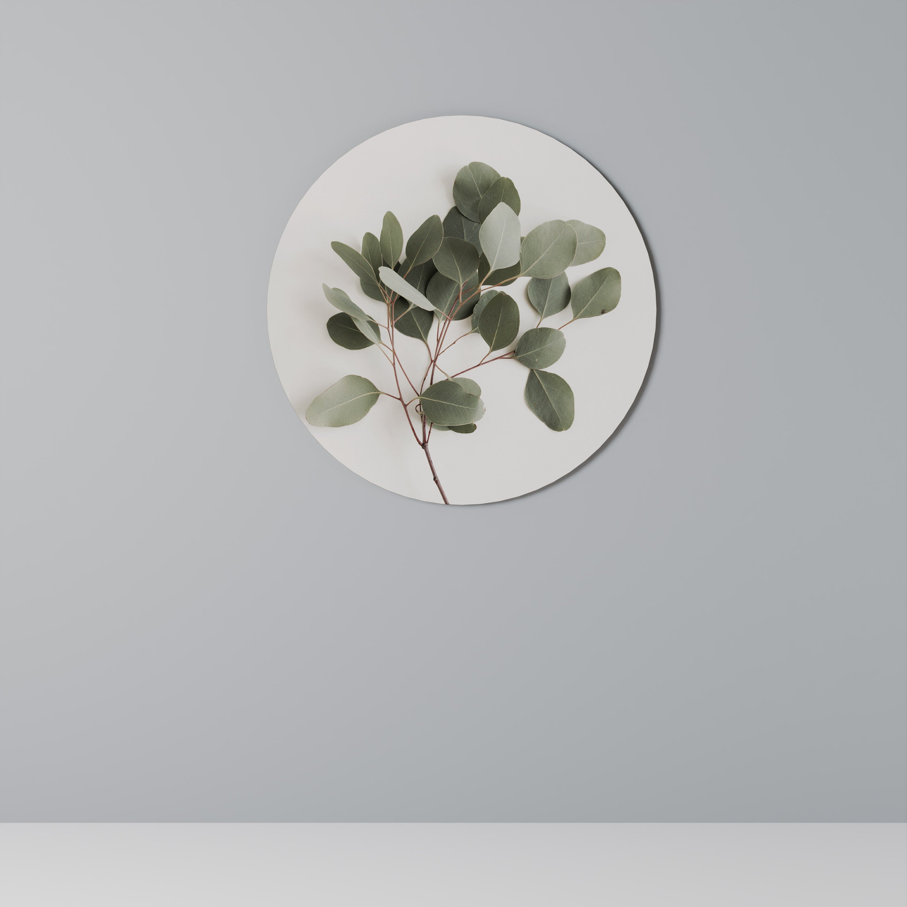 EUCALYPTUS BRANCH Quadro Redondo Decorativo