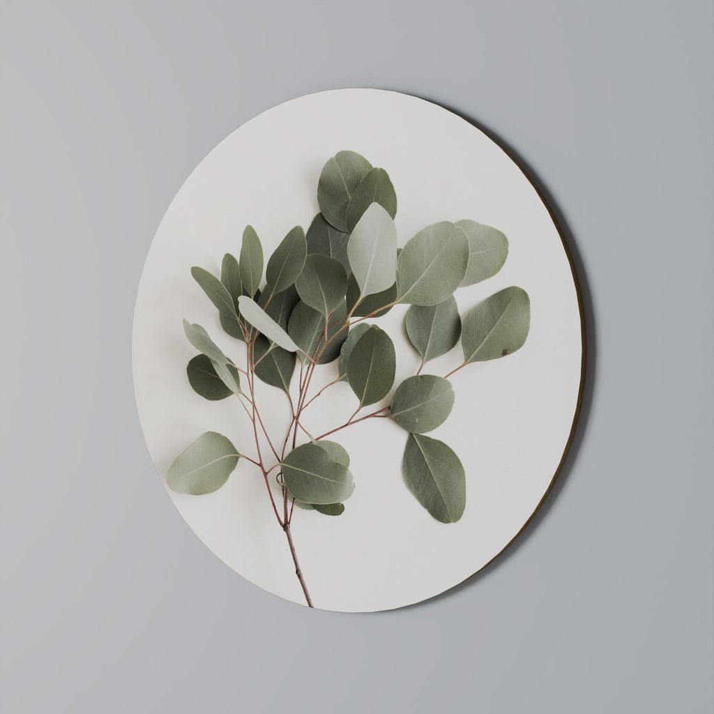 EUCALYPTUS BRANCH Quadro Redondo Decorativo