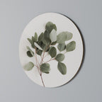 EUCALYPTUS BRANCH Quadro Redondo Decorativo