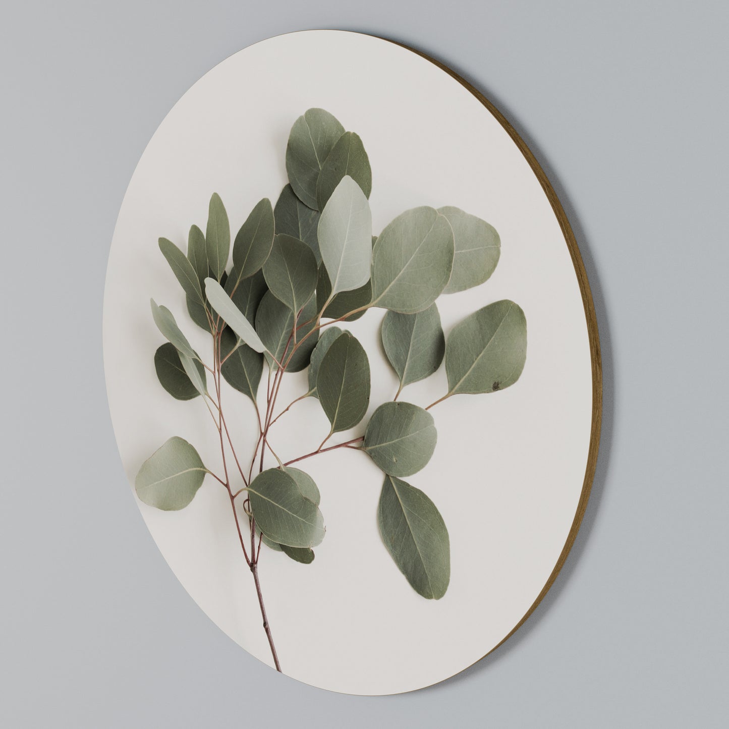 EUCALYPTUS BRANCH Arte de Parede Redonda