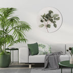 EUCALYPTUS BRANCH Quadro Redondo Decorativo