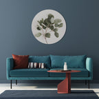 EUCALYPTUS BRANCH Quadro Redondo Decorativo