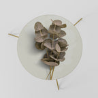 TIMELESS GREENERY Mesa de Centro 60