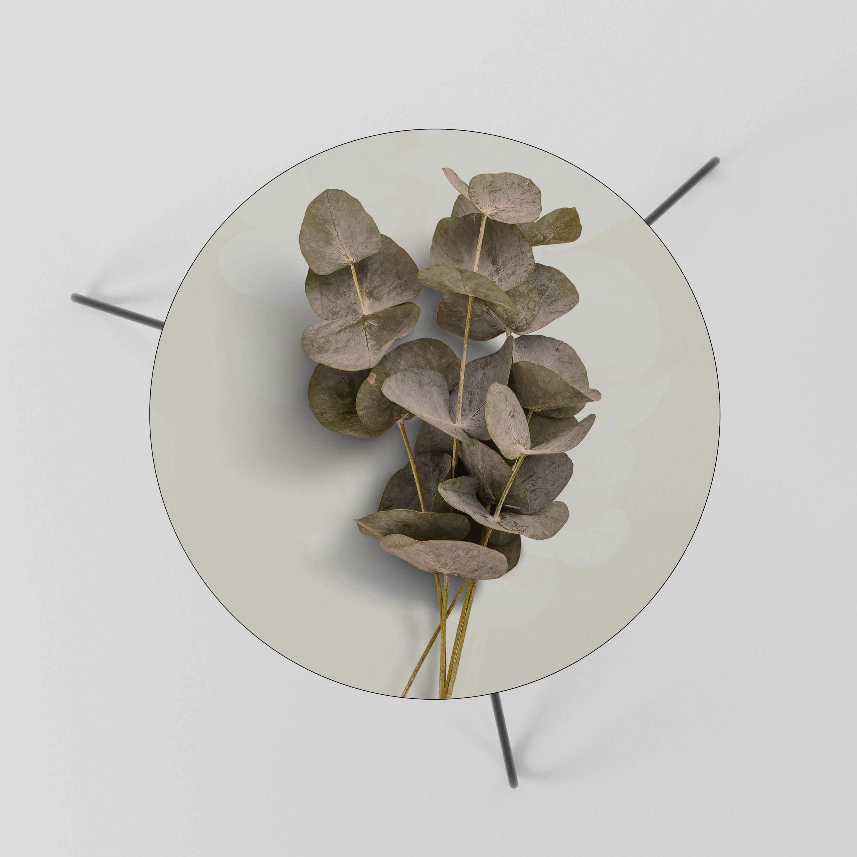 TIMELESS GREENERY Mesa de Centro 60