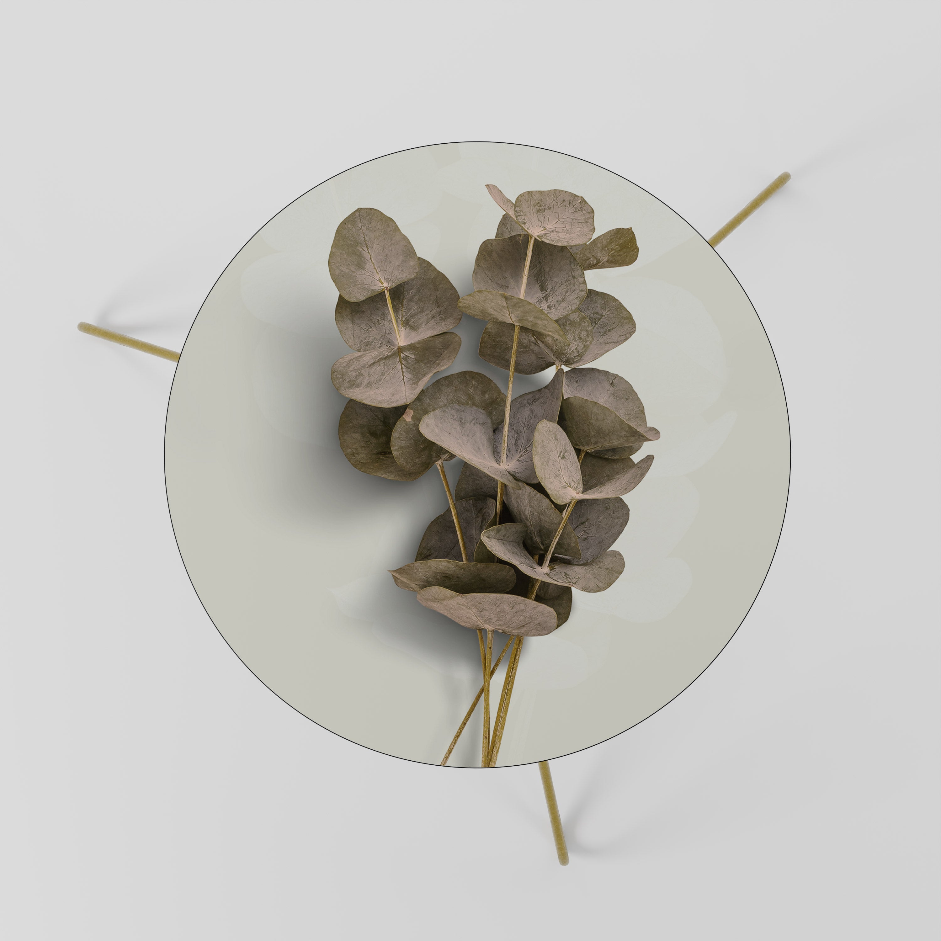 TIMELESS GREENERY Mesa de Centro 60