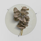 TIMELESS GREENERY Coffee Table 69