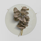 TIMELESS GREENERY Coffee Table 69