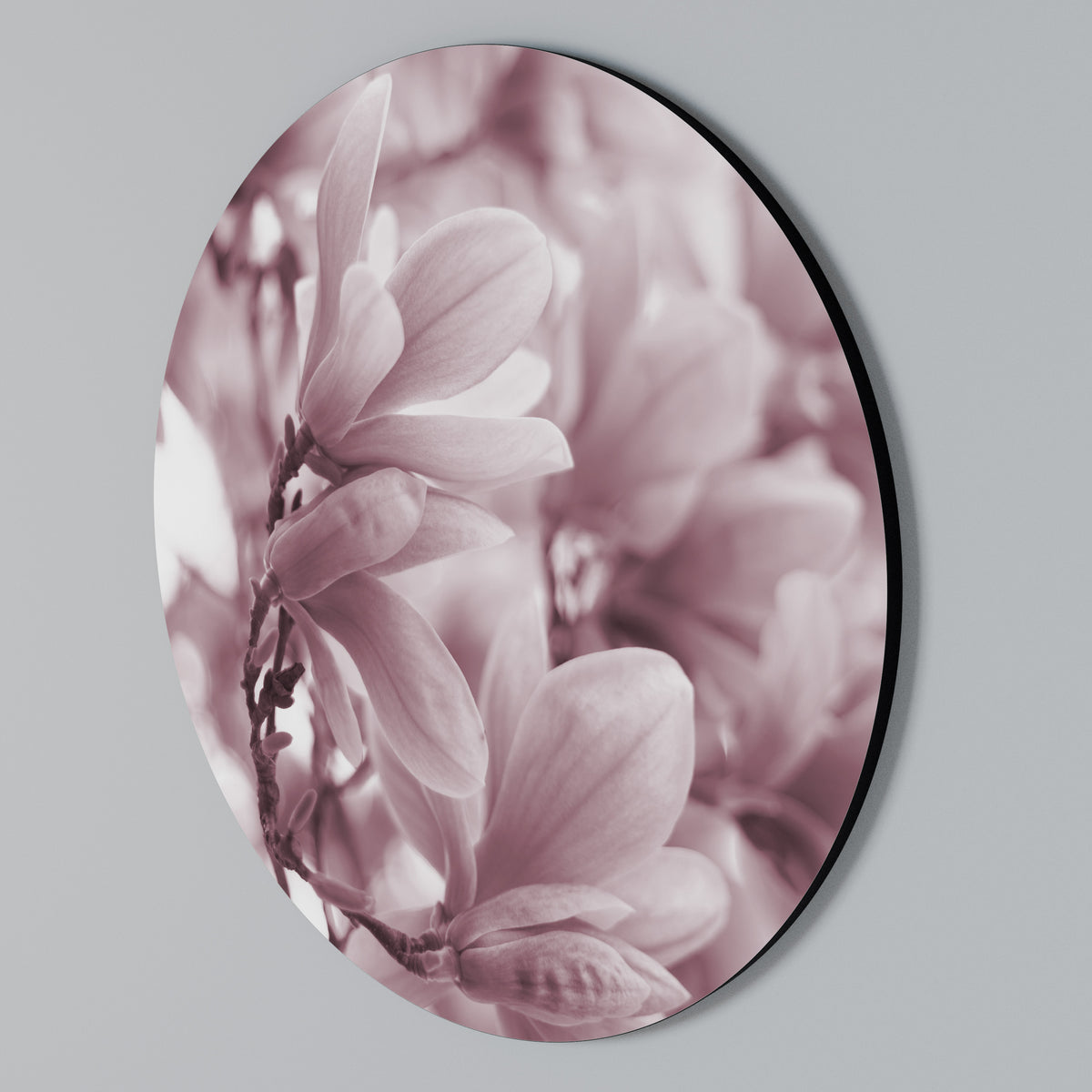 PINK BLOSSOM DREAM Arte de Parede Redonda