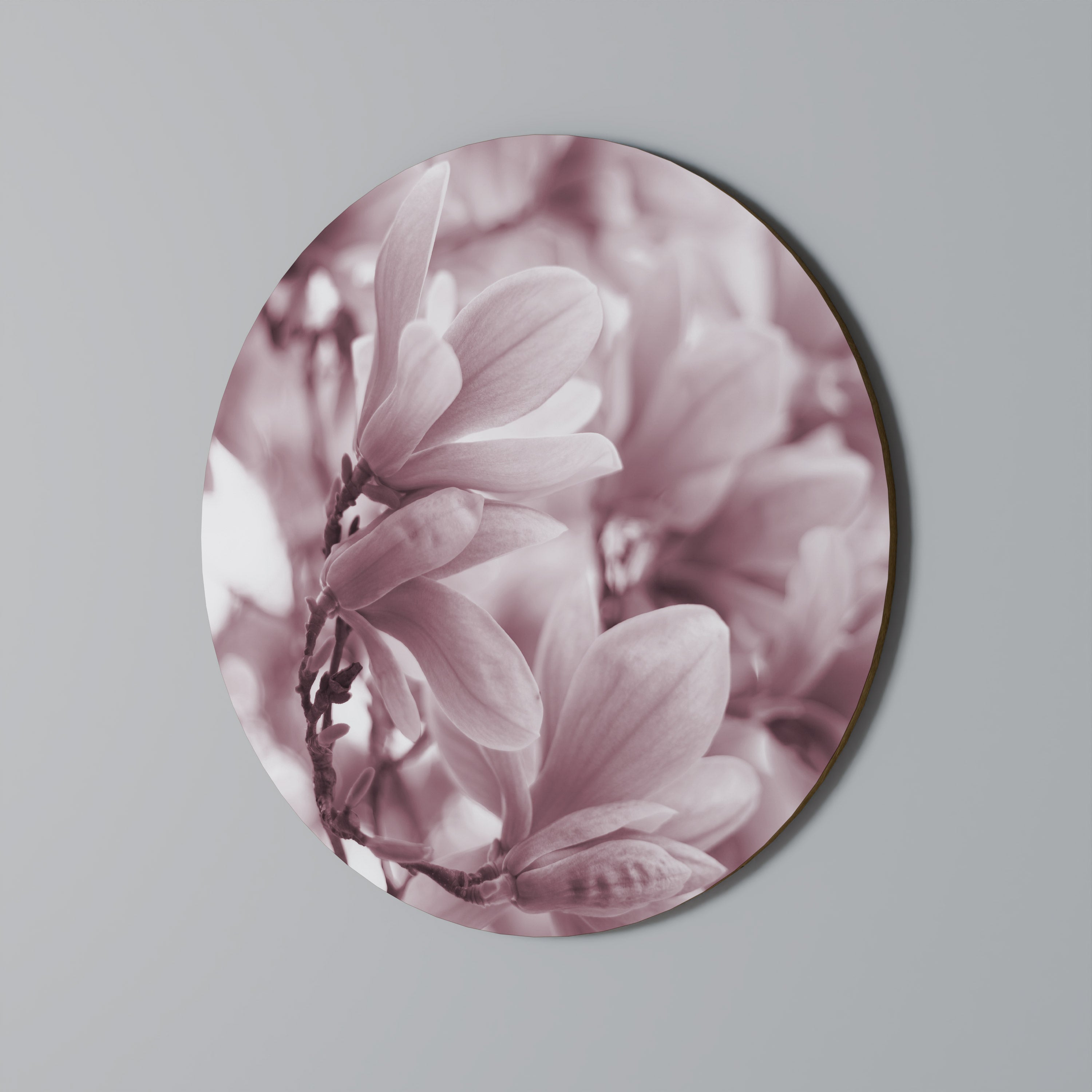 PINK BLOSSOM DREAM Quadro Redondo Decorativo
