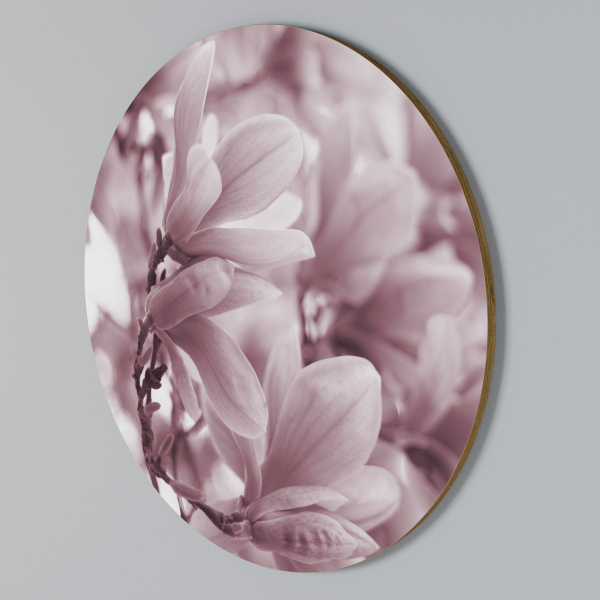 PINK BLOSSOM DREAM Arte de Parede Redonda
