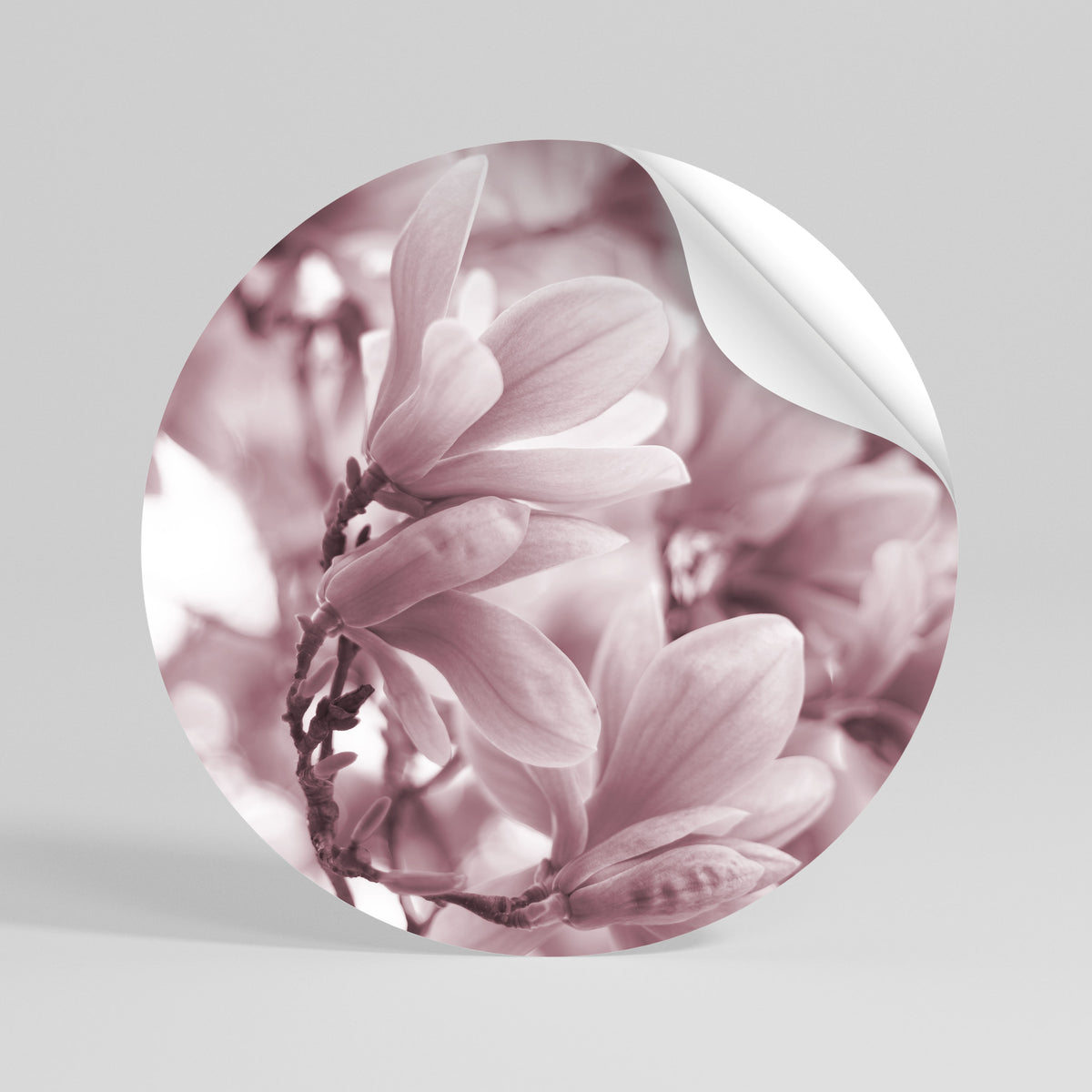 PINK BLOSSOM DREAM Autocolante Redondo Removível
