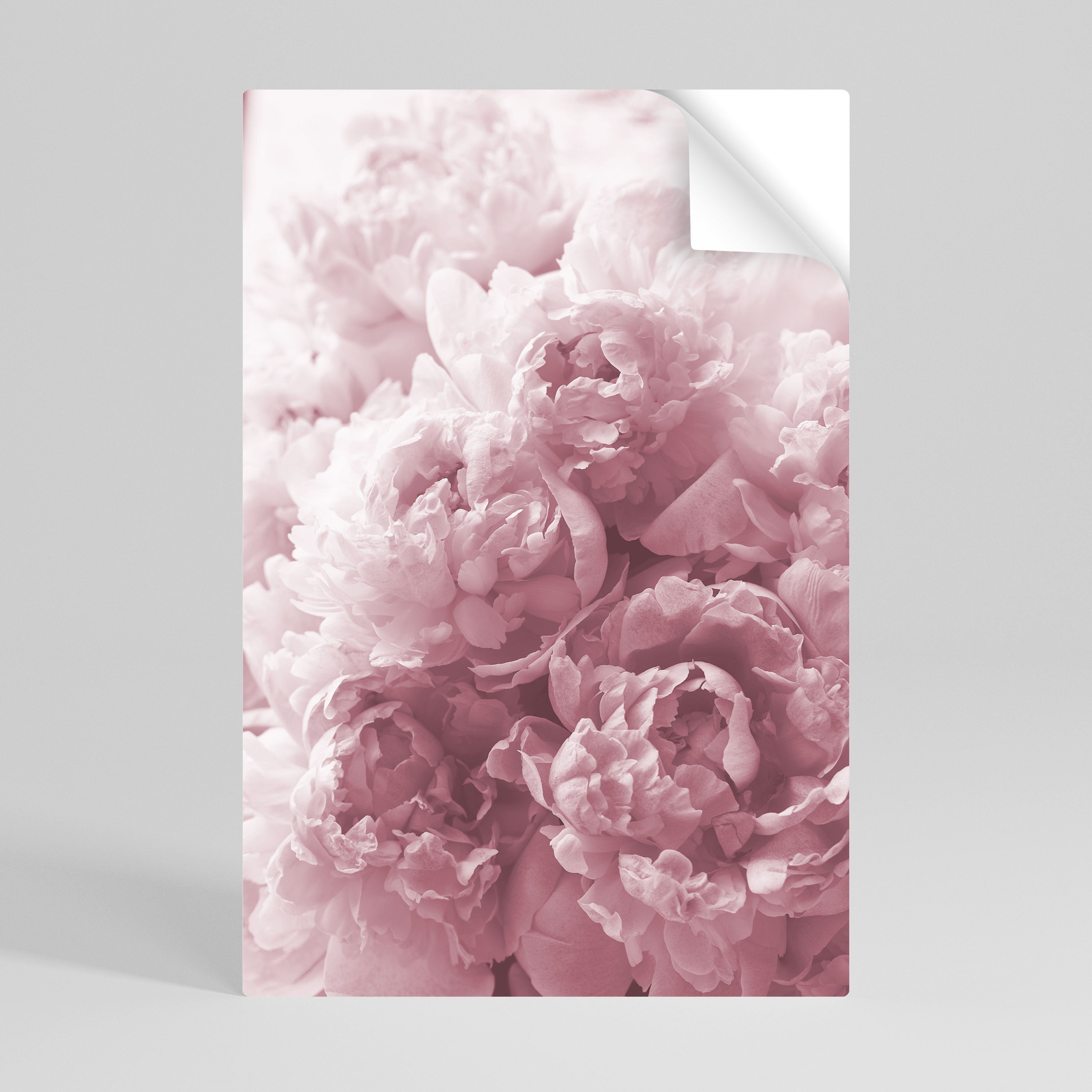 BLUSHED SERENITY Poster Vertical Autocolante