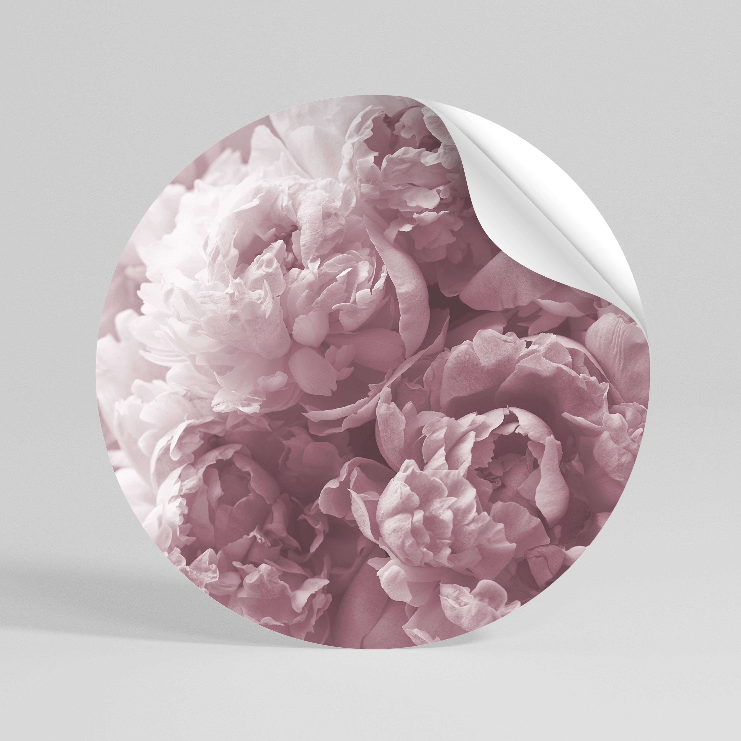 BLUSHED SERENITY - Autocolante Redondo Removível