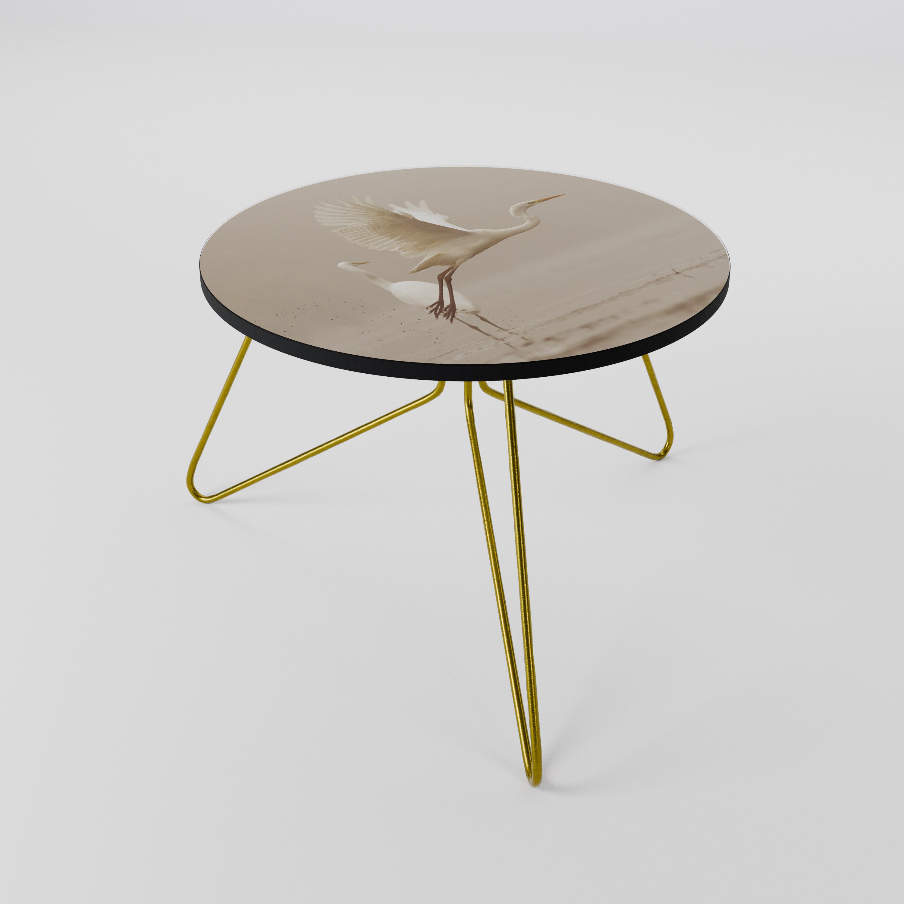 ELEGANT ASCENT Coffee Table