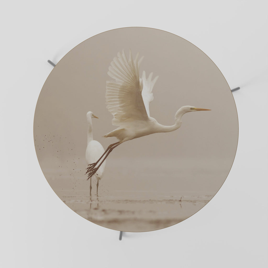 ELEGANT ASCENT Coffee Table 69